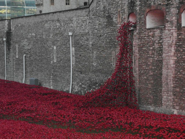 Blood Swept Lands and Seas of Red at the Tower of London